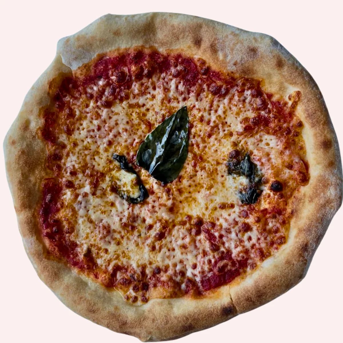 Stone-baked Pizza Press Margherita pizza